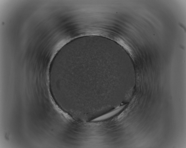 X0000091731088200708311156