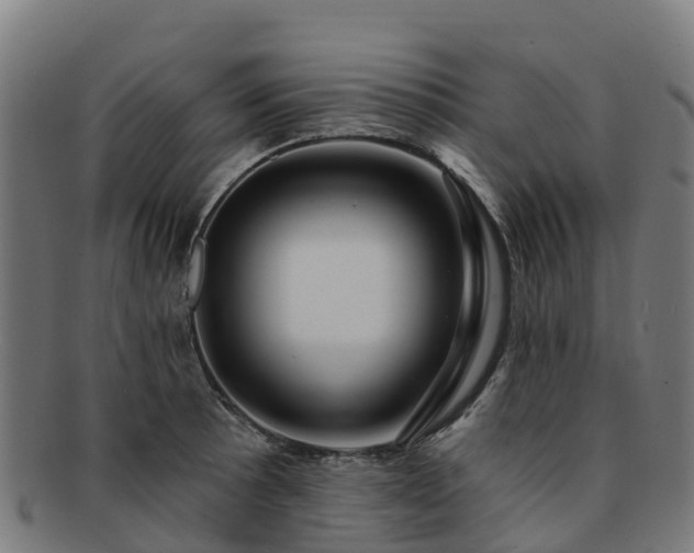 X0000091731089200708311156