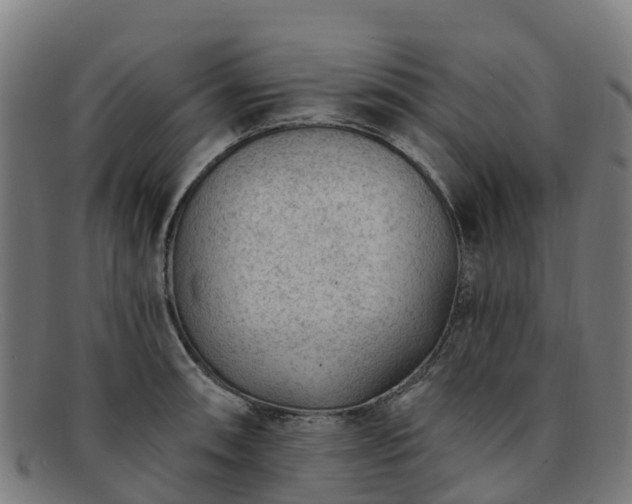 X0000091731090200708311156