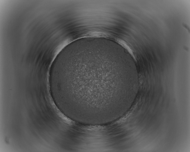 X0000091731091200708311156