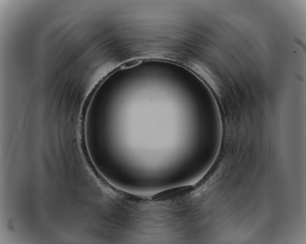 X0000091731093200708311156