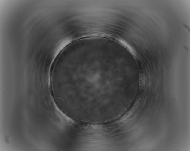 X0000091731095200708311156