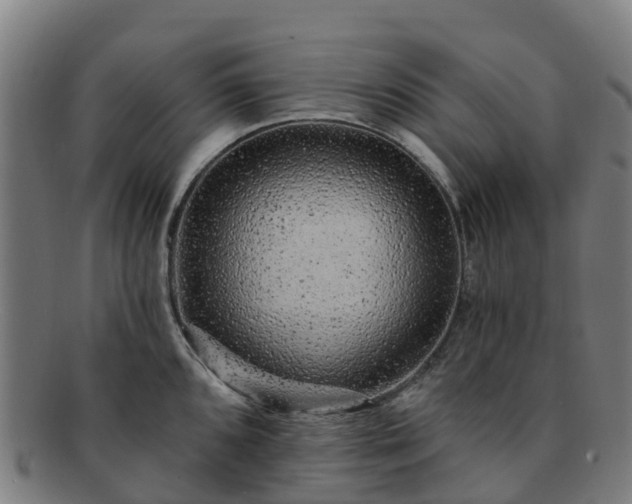 X0000091731096200708311156