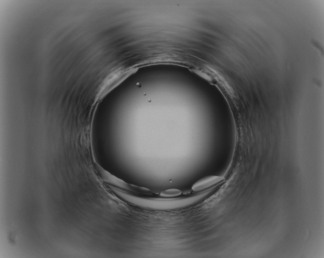 X0000091731097200708311156