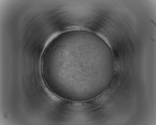 X0000091731098200708311156