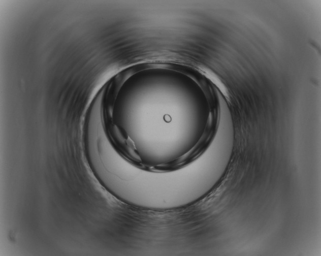 X0000091731099200708311156