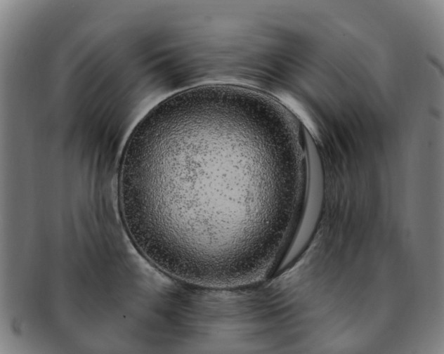 X0000091731100200708311156