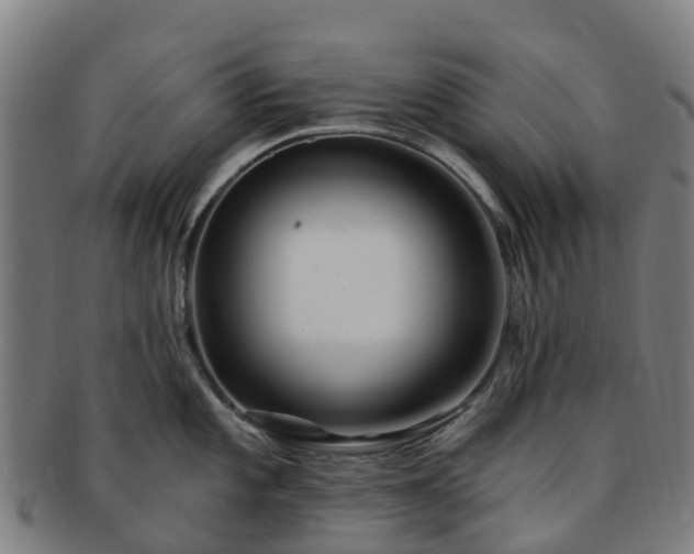 X0000091731101200708311156