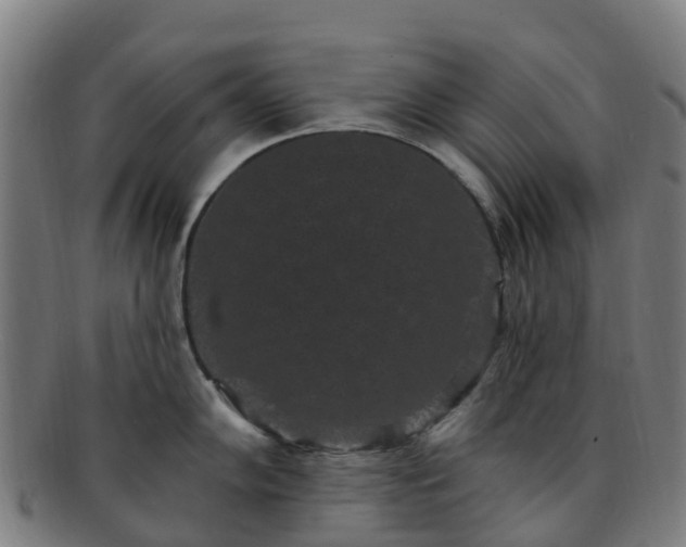 X0000091731102200708311156