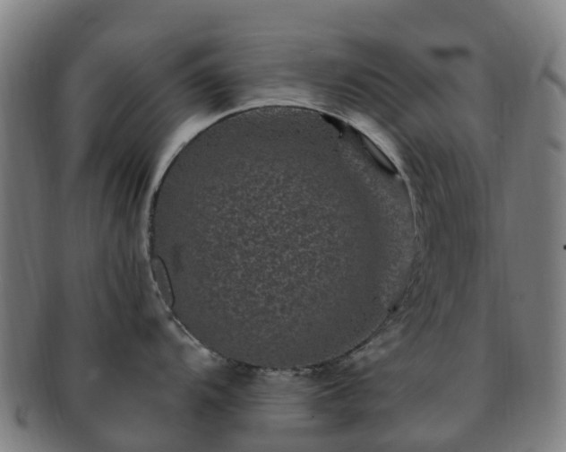 X0000091731104200708311156