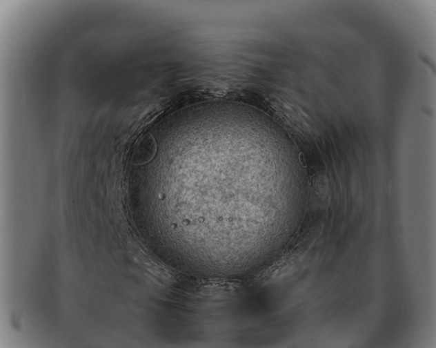 X0000091731105200708311155