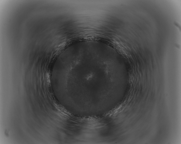 X0000091731106200708311155
