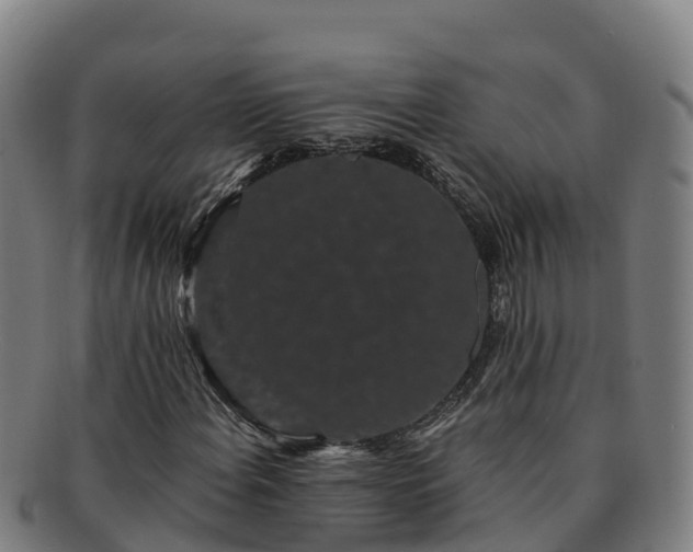 X0000091731108200708311155