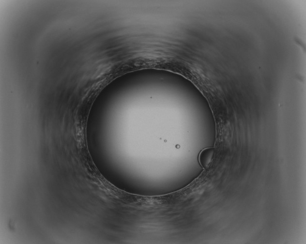X0000091731109200708311155