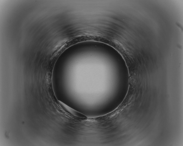 X0000091731110200708311155