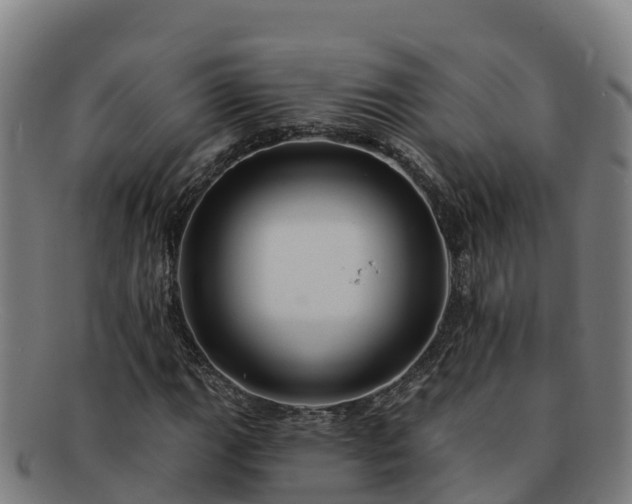 X0000091731111200708311155