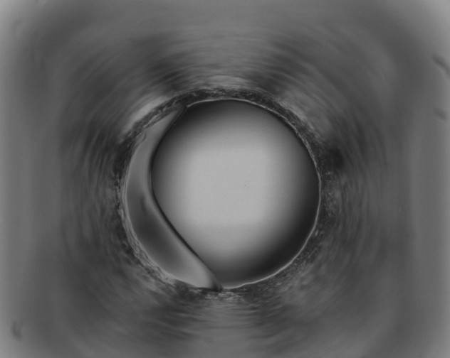 X0000091731112200708311155