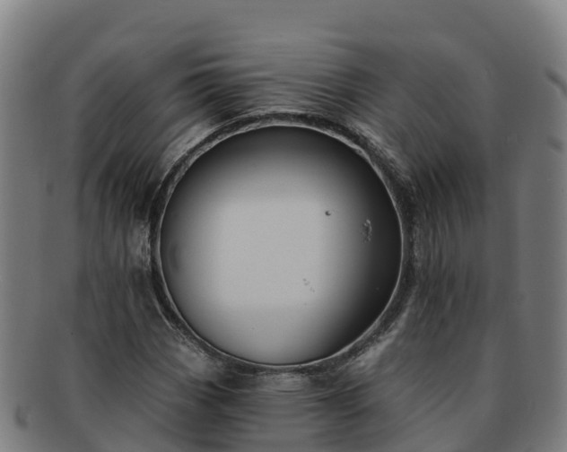 X0000091731113200708311155