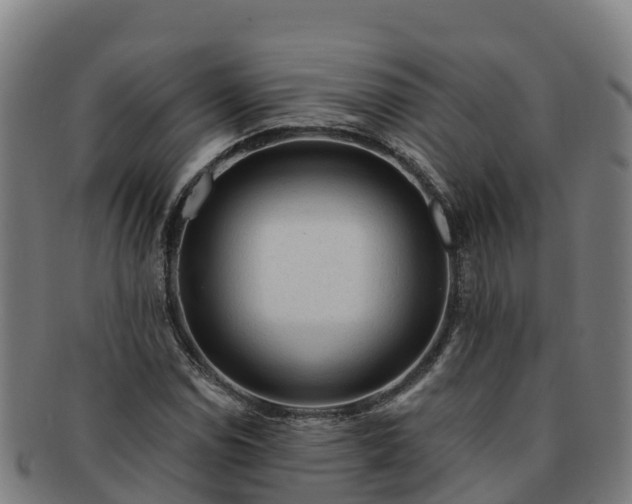 X0000091731114200708311155