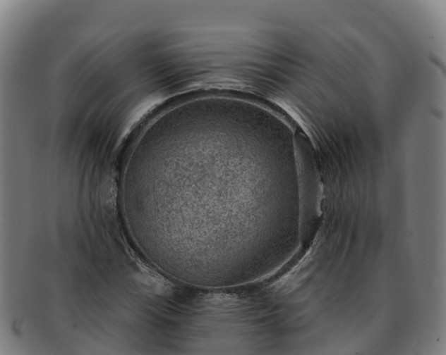 X0000091731115200708311155