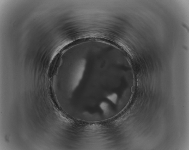 X0000091731117200708311155