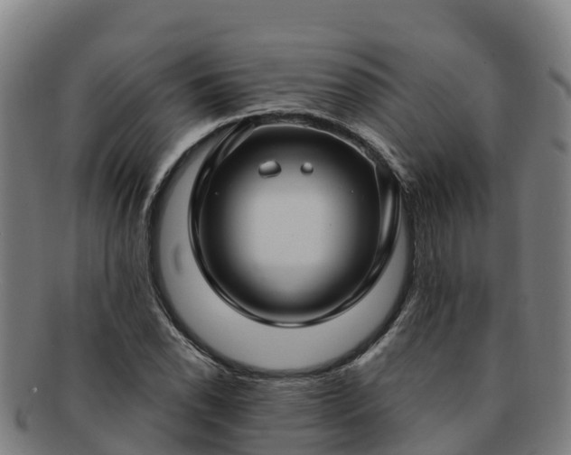 X0000091731118200708311155