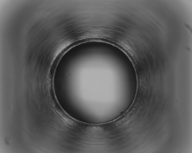 X0000091731119200708311155
