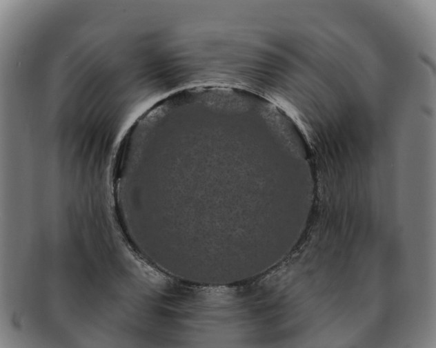 X0000091731120200708311155