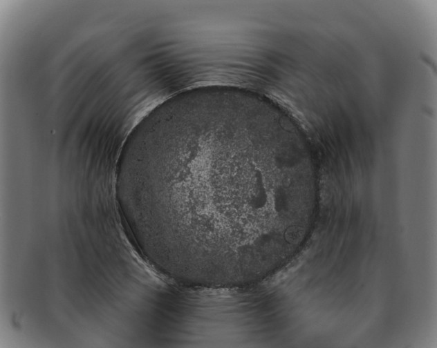 X0000091731121200708311155