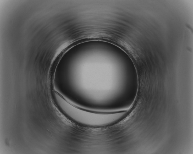 X0000091731122200708311155