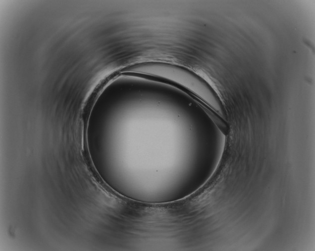 X0000091731123200708311155