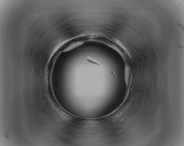 X0000091731124200708311155
