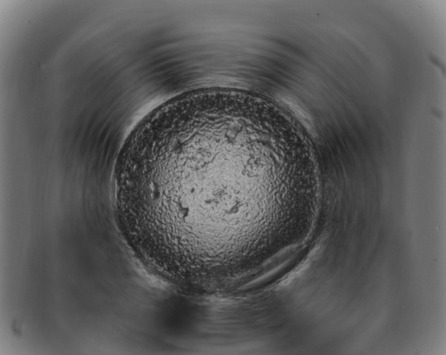 X0000091731125200708311155