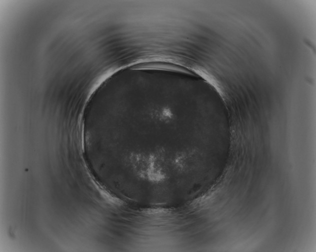 X0000091731127200708311155