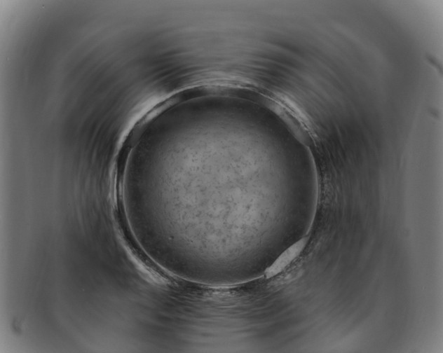 X0000091731128200708311155