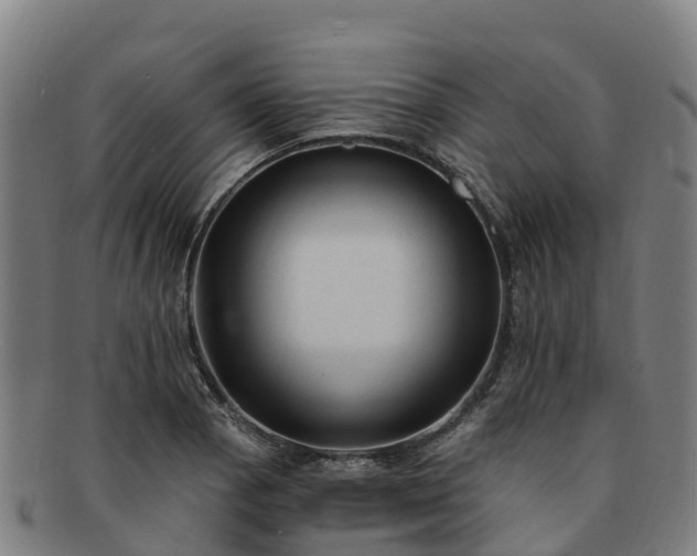 X0000091731129200708311155
