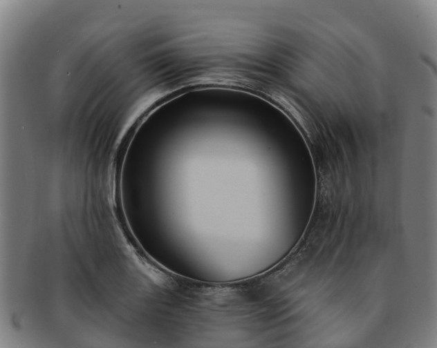 X0000091731131200708311155