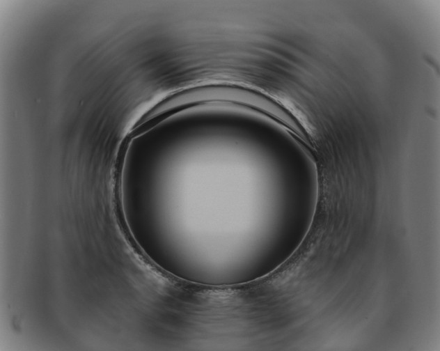 X0000091731134200708311155