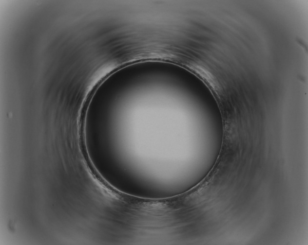 X0000091731135200708311155