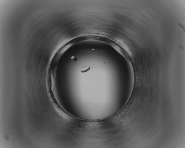 X0000091731136200708311155