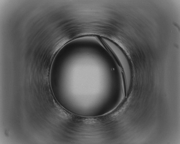X0000091731137200708311155