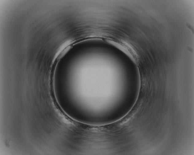 X0000091731138200708311155