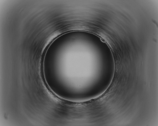X0000091731139200708311155