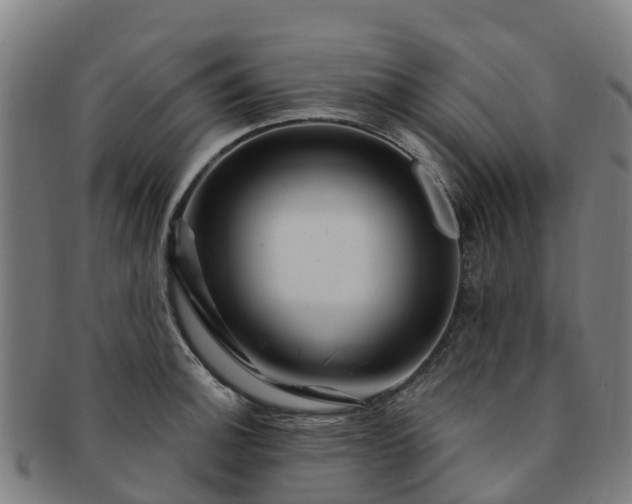 X0000091731140200708311155
