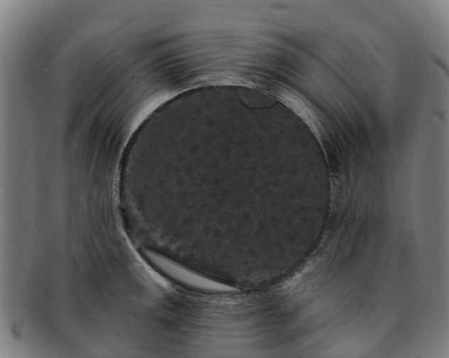 X0000091731141200708311155