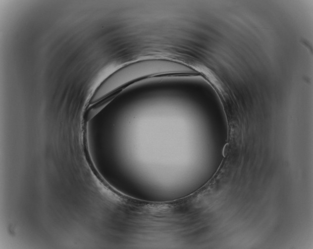 X0000091731143200708311156