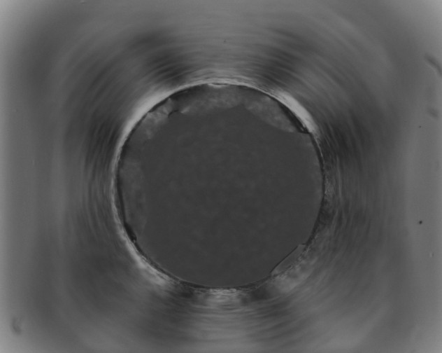 X0000091731144200708311156