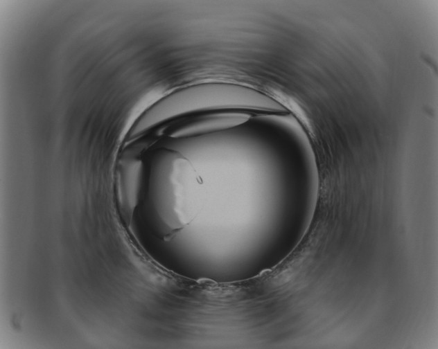 X0000091731146200708311156
