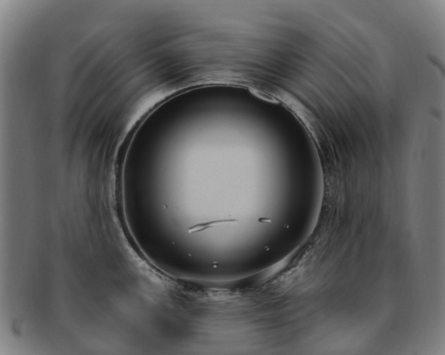 X0000091731147200708311156