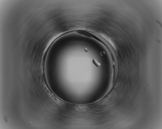 X0000091731148200708311156
